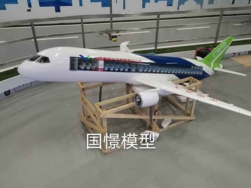 贺兰县飞机模型